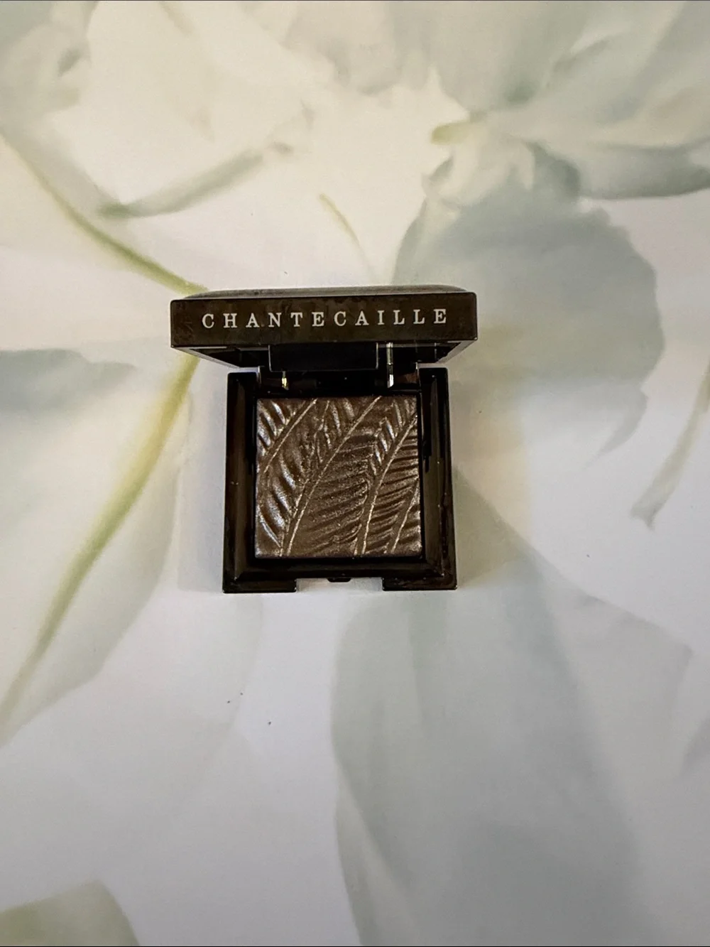 Chantecaille luminescent eye shade rhinoceros nwob